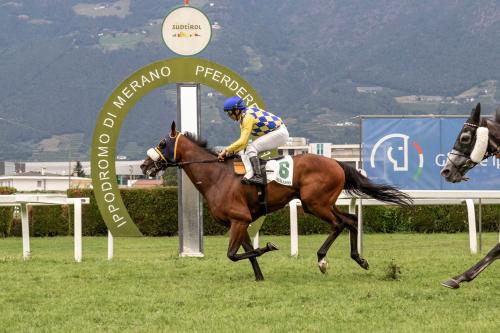 Ferragosto a Maia: Zar Bitter difende il titolo nel Premio delle Alpi Ferragosto a Maia: Zar Bitter difende il titolo nel Premio delle Alpi