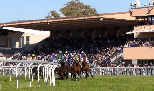 Galoppo: Asvi aggiunge 25 mila euro al montepremi per il 100° Derby Sardo Galoppo: Asvi aggiunge 25 mila euro al montepremi per il 100° Derby Sardo