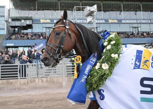 Stoccolma. Dream Mine vince il Gran Premio UET