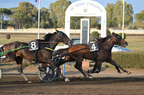 10.000 Capannelle:  Gabrioz  vince il derby Italiano del Trotto