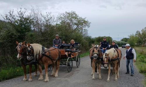 FESTA DEI CAMMINI TURISMO VERDE IN CARROZZA