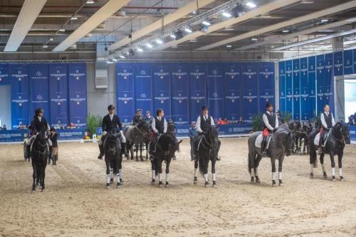 Quattro proposte per i prossimi 100 anni del Cavallo Murgese