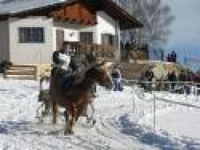 Galoppo sulla neve, applausi a Forabrida ed Evelyn