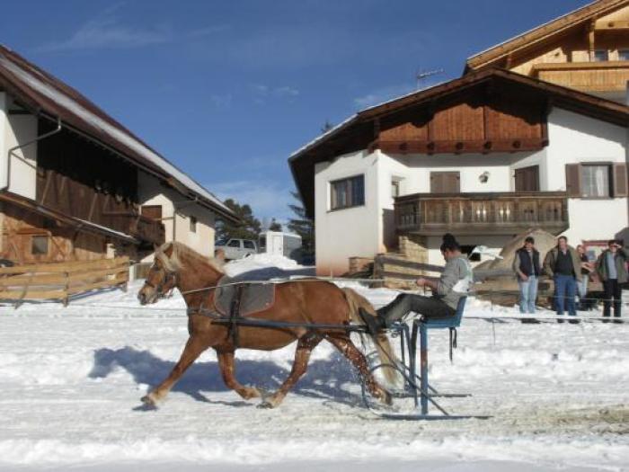 Alcune immagini della manifestazione nelle foto di Mirko Avoledo