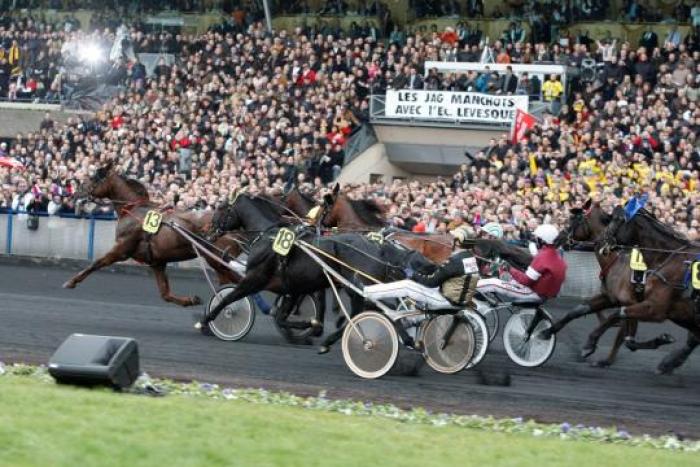 Il gruppo dei Cavalli del Prix d\'Amerique in azione. Foto Stefano Grasso per cavallo2000