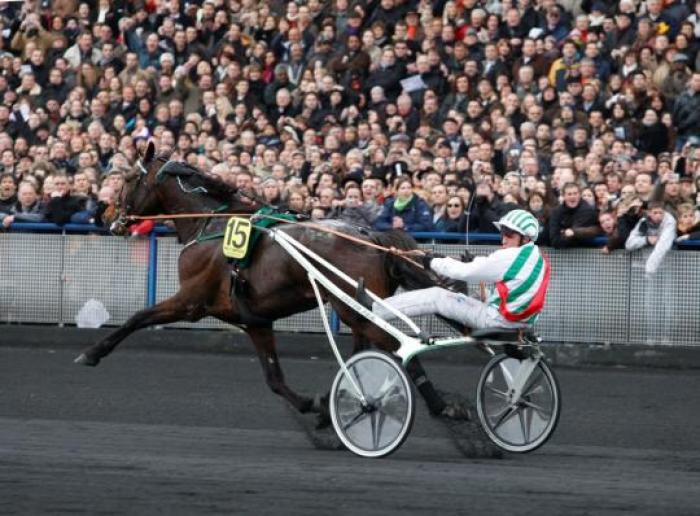 Il passaggio di Meaulnes du Corta davanti alle tribune. Foto Stefano Grasso per cavallo2000 Il passaggio di Meaulnes du Corta davanti alle tribune. Foto Stefano Grasso per cavallo2000