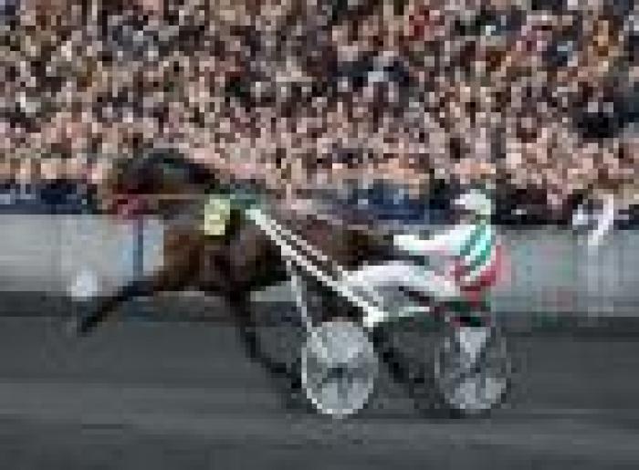 Prix d'Amérique, Exploit Caf 12° con amarezza Prix d'Amérique, Exploit Caf 12° con amarezza