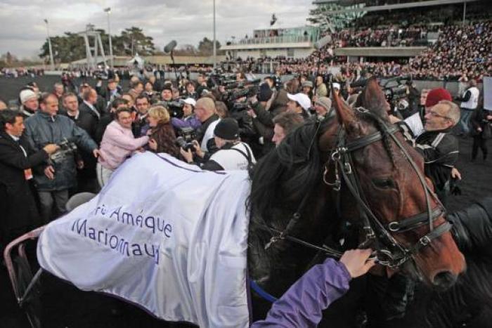 OYONNAX festeggiato dal suo staff. foto Stefano Grasso per cavallo2000 OYONNAX festeggiato dal suo staff. foto Stefano Grasso per cavallo2000