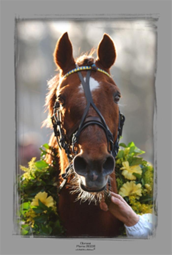 Il poster di Ourasi fotografato dal nostro Stefano Grasso Il poster di Ourasi fotografato dal nostro Stefano Grasso