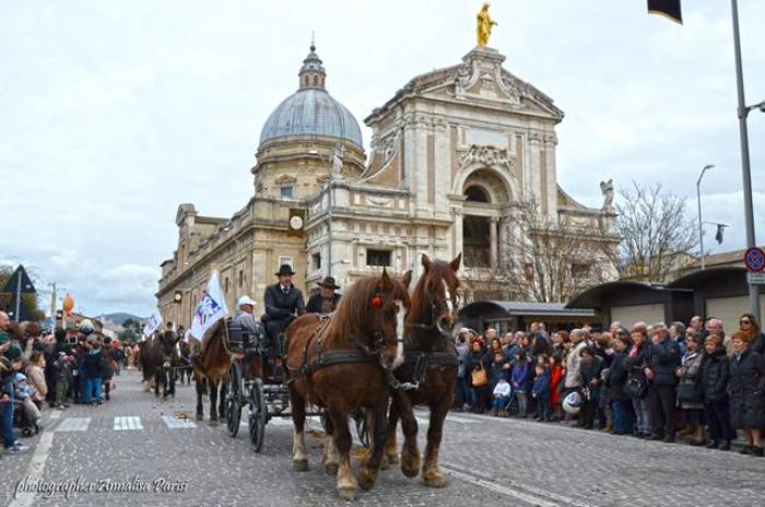 AIA, a Santa Maria degli Angeli la tradizionale benedizione degli animali