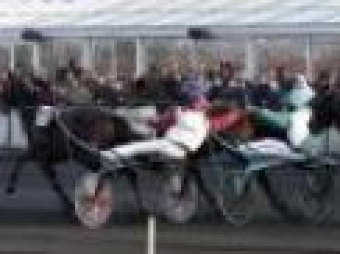 Prix d'Amérique, tanto di cappello a Ready Cash