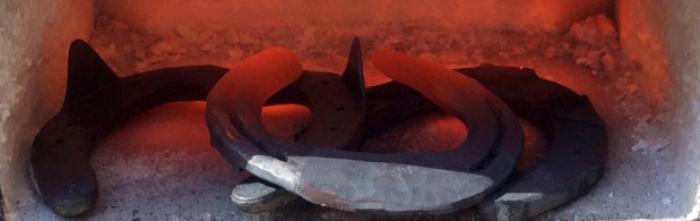 Corso di mascalcia, ultimi posti per  apprendere una nuova professione