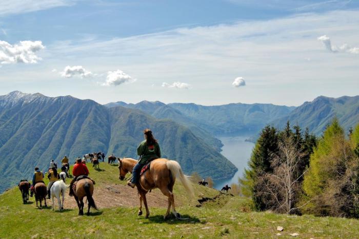 ALMA TV lancia la trasmissione Tutti in Sella ALMA TV lancia la trasmissione Tutti in Sella