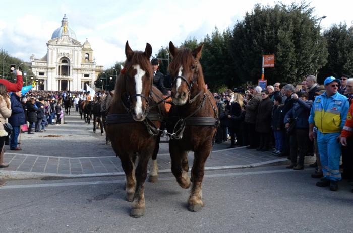 17 gennaio, una data a cavallo tra sacro e profano 17 gennaio, una data a cavallo tra sacro e profano