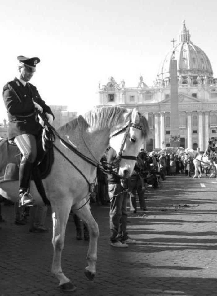 Roma, allevatori da tutta Italia  in onore  di  San Antonio Abate