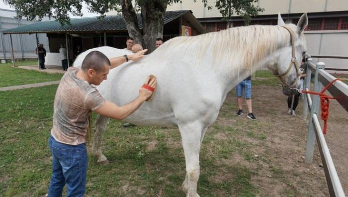Fieracavalli - Corte Molon:  compie 10 anni progetto per reinserimento lavorativo detenuti