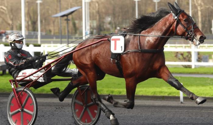 Sabato a Vincennes con tanti italiani nel Luxembourg e nel Prix Ourasi