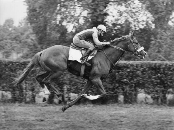 SIRLAD amatissimo campione