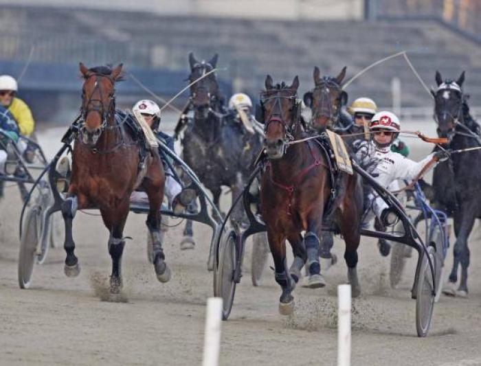 Iigor Font e J.M.Bazire. Foto Stefano Grassso per cavallo2000
