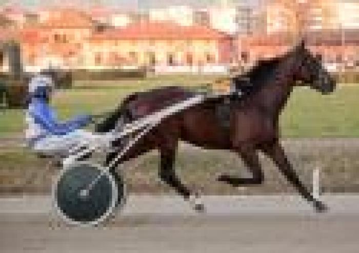 Trotto, Mack Grace SM domina a Firenze Trotto, Mack Grace SM domina a Firenze