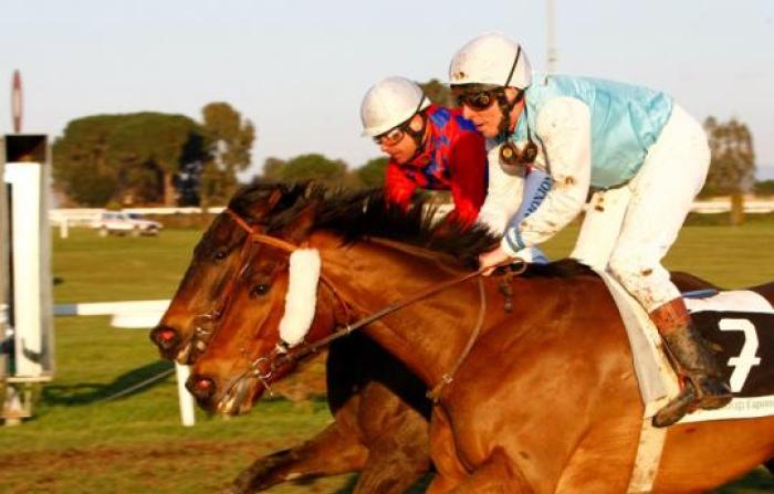Luci a Capannelle all'arrivo. Foto Stefano Grasso per cavallo2000 Luci a Capannelle all'arrivo. Foto Stefano Grasso per cavallo2000