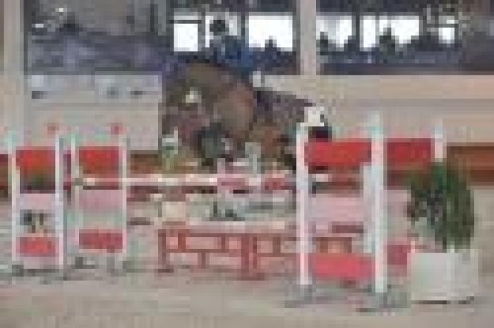 Salto, a Cervia la prima tappa del Progetto Giovani