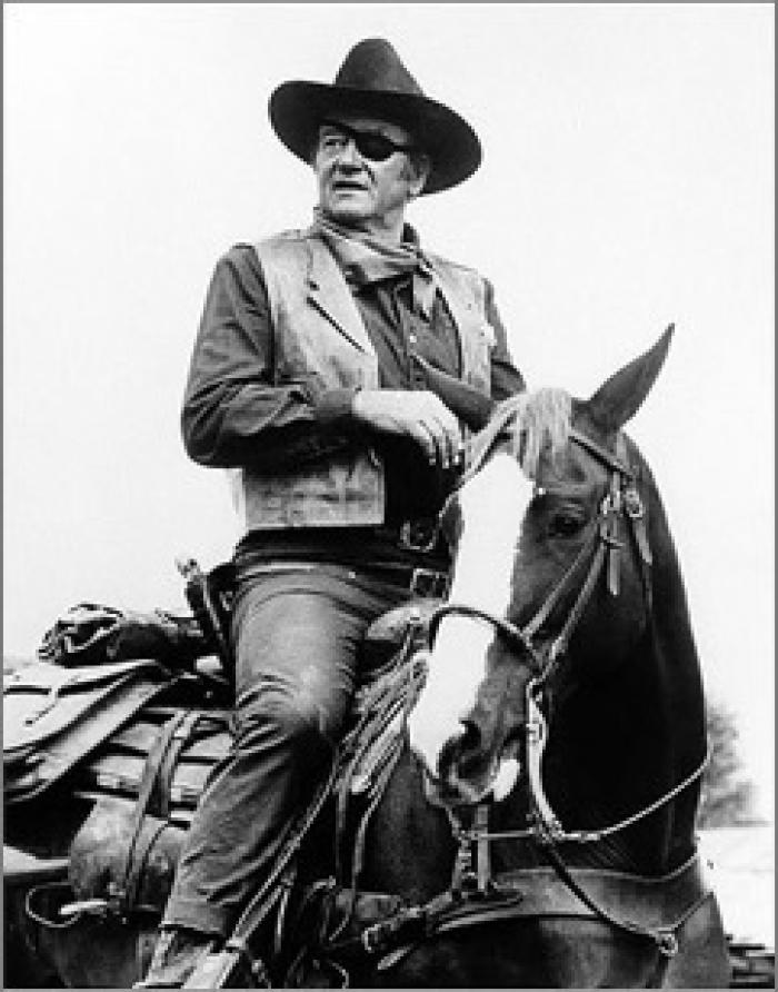 Film western, Cowboys e ...altre storie!
