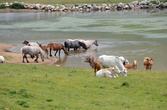Abruzzo, nuovo cammino sulle tracce della Transumanza