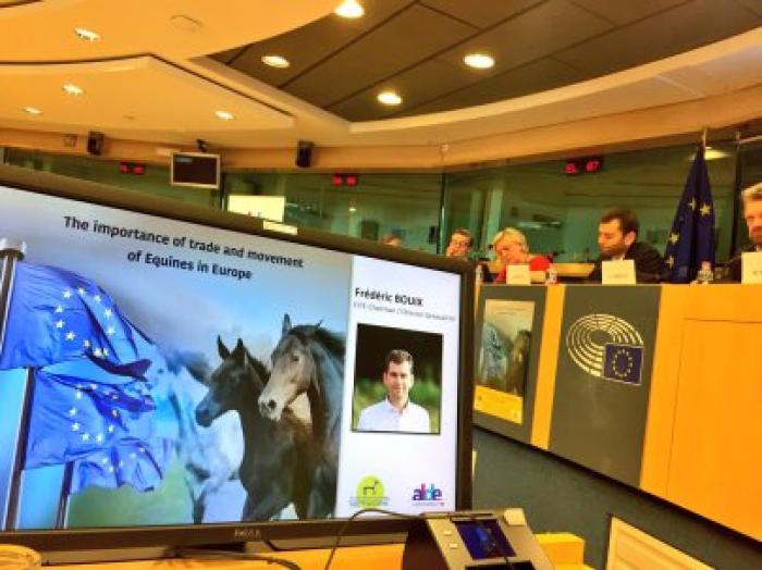 European Horse Network seminario web su comunicazione nel settore