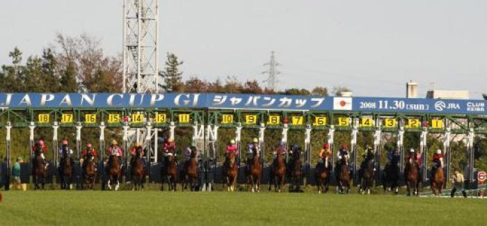 La Japan Cup dichiarata migliore corsa gruppo 1 del 2023