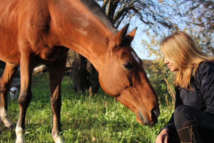 Il codice di anima,  della mia anima