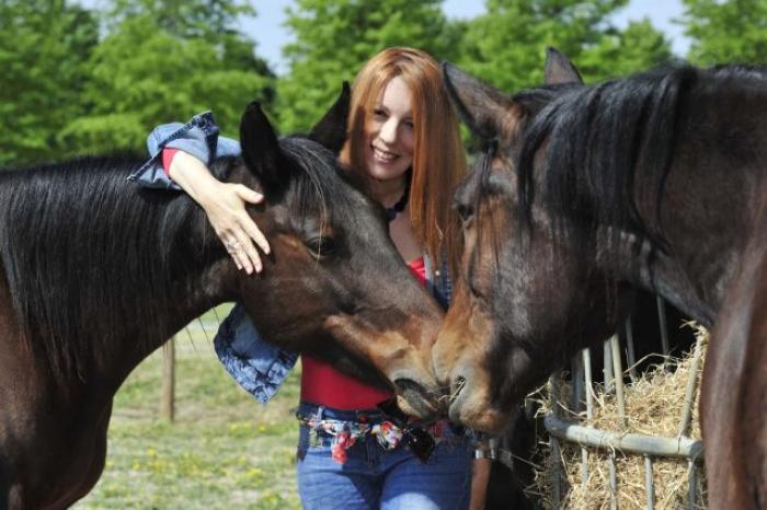 Al via iter parlamentare  per riconoscere i  cavalli animali d'affezione