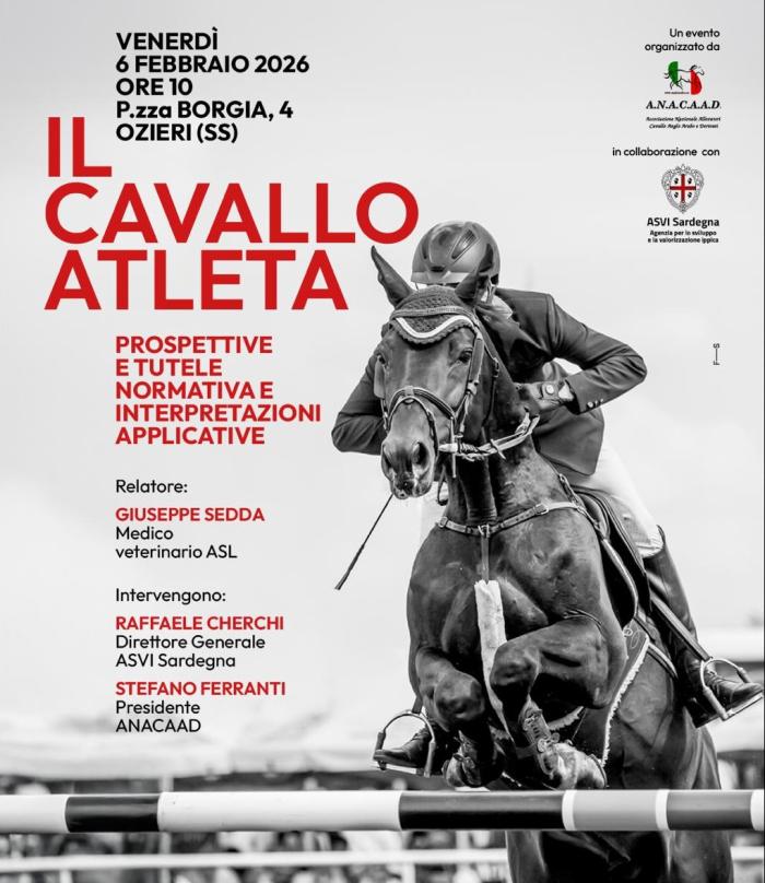 Cavallo atleta: convegno a Ozieri su norme, prospettive allevamento e  discipline sportive