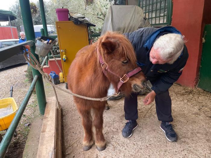 Fise rinnova impegno sociale con ''Over Pony Motricit&agrave; plus 2026''