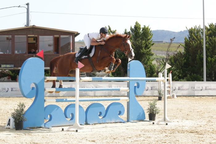 Salto ostacoli: a Umberto Sambataro e My Zenzero il Gran Premio di Augusta Salto ostacoli: a Umberto Sambataro e My Zenzero il Gran Premio di Augusta