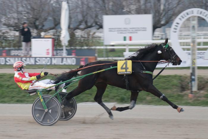 Domenica clou a San Siro con il Gran Premio E.N.C.A.T. Domenica clou a San Siro con il Gran Premio E.N.C.A.T.