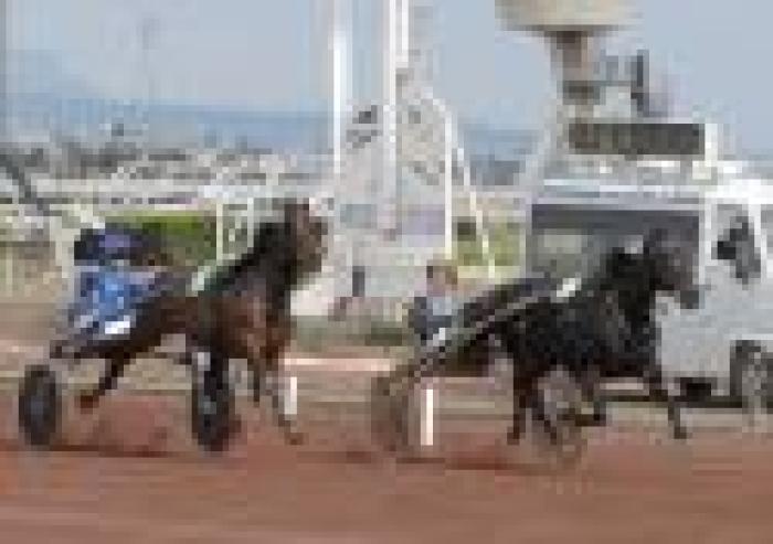 Criterium de Vitesse, Opal Viking senza rivali
