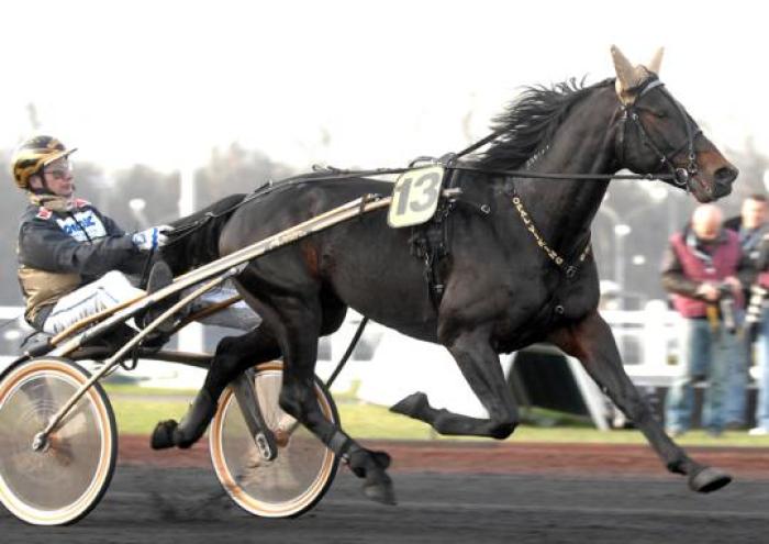 Opal Viking nelle foto di Sophie Lanca per Cavallo2000