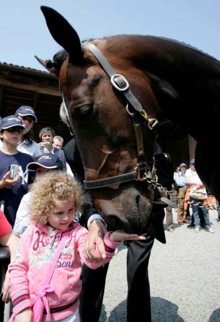 Varenne foto Stefano Grasso per cavallo2000