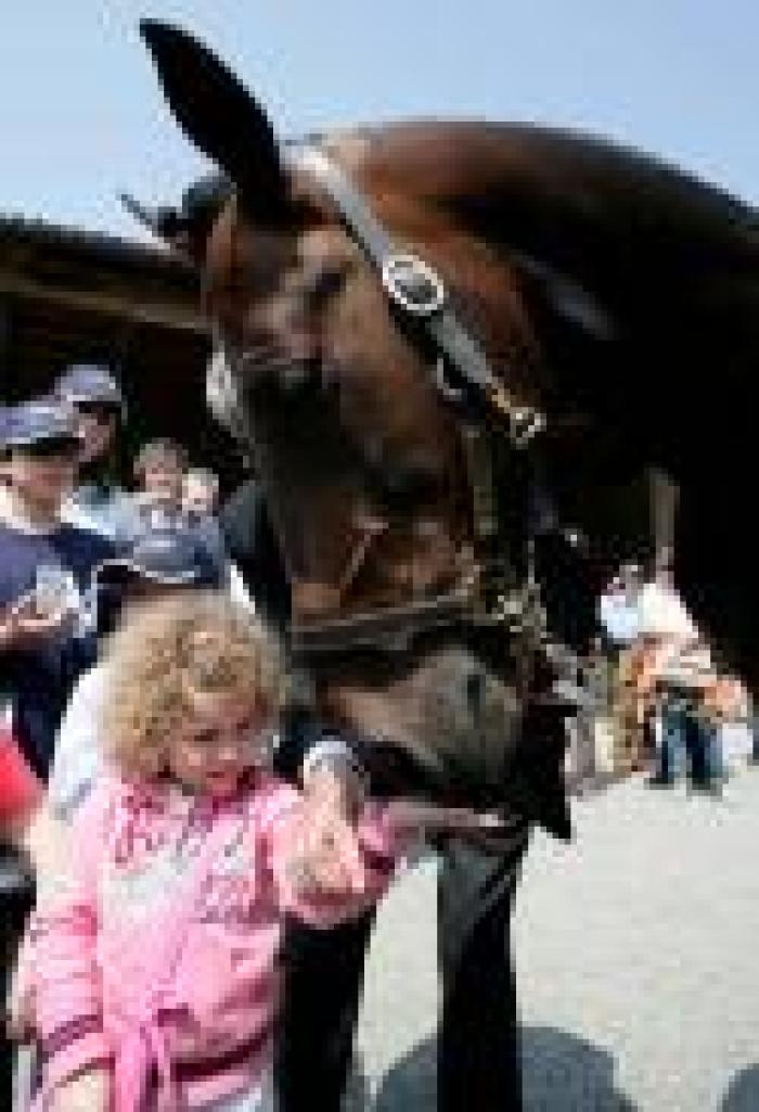 Varenne in Svezia, partenza tra le polemiche