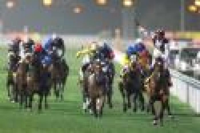 Galoppo, Gladiatorus entusiasma in Dubai Galoppo, Gladiatorus entusiasma in Dubai