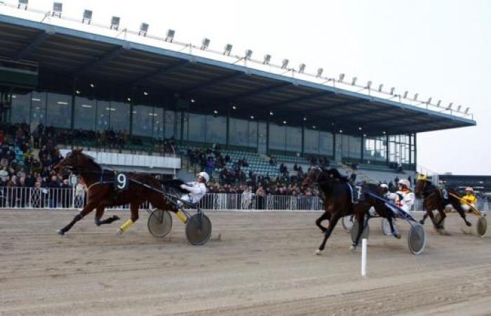 Andrea Farolfi con Leroy Giò vince il Gran Premio Le Padovanelle Andrea Farolfi con Leroy Giò vince il Gran Premio Le Padovanelle
