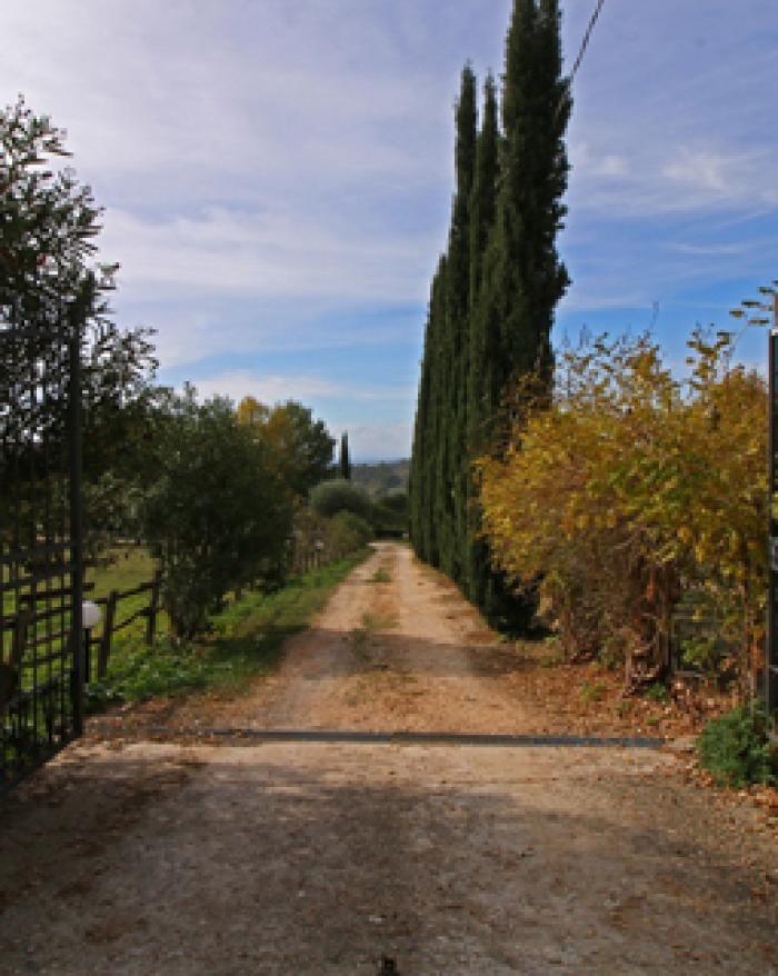 Horse Kingdom: un buen retiro per i cavalli a fine carriera!