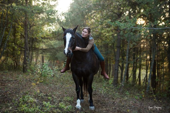 I cavalli: una guida verso l'armonia con il mondo
