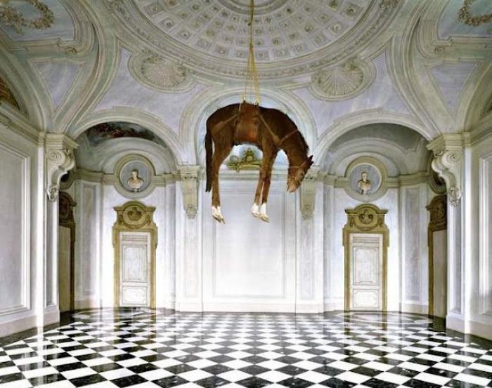 Il cavallo di Cattelan evocatore di guerra Il cavallo di Cattelan evocatore di guerra