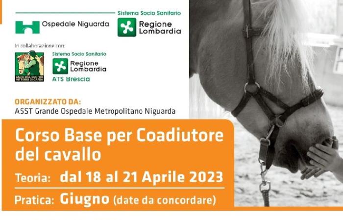 Centro V. Di Capua al via Corso Base per Coadiutore del cavallo