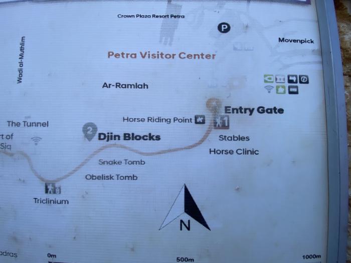 Petra e i suoi equidi, meraviglie nabatee