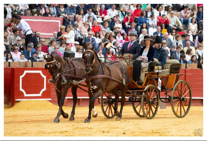 Siviglia, attacco di tradizione: le regole da rispettare Siviglia, attacco di tradizione: le regole da rispettare