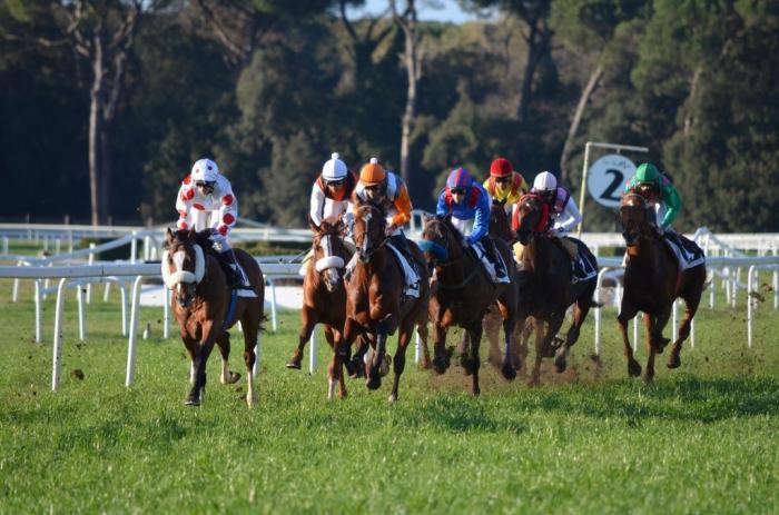 Pisa Gold, super domenica con il Regoli e il Galilei Pisa Gold, super domenica con il Regoli e il Galilei