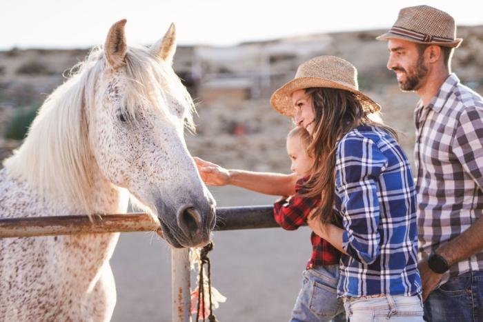 Horse Green Day: a Pisa la presentazione del progetto ''Toscana con il Cavallo''